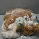 MorisMos 14 Piece Teddy Bears Bulk Baby Shower,14 Inch Cute Teddy Bear Stuffed Animals Plush,Small Stuffed Bears,Centerpiece Decoration,Brown,White,Dark Brown