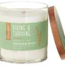 Essential Elements by Candle-Lite Company Wood Wick Scented Candle, Vibing & Thriving, One 16 oz. Single-Wick Aromatherapy Candle with 50 Hours of Burn Time, White