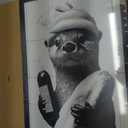 SYWENNOI Framed Otter Bathroom Canvas Wall Art Black and White 16x24 inches