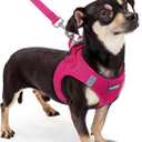 rabbitgoo Dog Harness Small Sized and Leash Set, Step in Soft Light Puppy Vest, Breathable Mesh Pet Harness, Reflective for Safe Easy Walking, Rosa Red XXXS