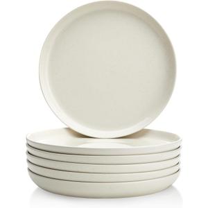 Sweese Porcelain Dinner Plates Set, 10 Inch, Round Salad Plates, Dove Gray - Dishwasher, Microwave Oven Safe, 5 Pack