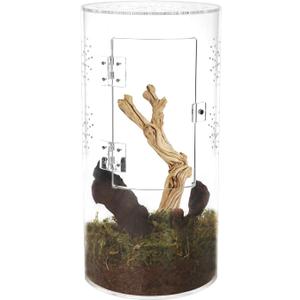 NANEEZOO Acrylic Tarantula Enclosure Jumping Spider Enclosure with Front Opening Door Micro Habitat Terrarium for Small Tree Dwelling Reptiles, Spiders & Invertebrates (6x6x12 Inch)