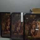 16x20 Poster Frame set of 3, Modern Style Woode Frame Black, Vertical & Horizontal Wall Hanging Large Studio Gallery Picture Frame for Photos, Posters & Art Prints best gift