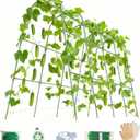 Cucumber Trellis for Raised Beds - Sturdy Arch Trellis for Peas, Beans & Climbing Plants | Outdoor Vegetable Support, Garden Trellis Kit (63" Lx30 Wx48 H)