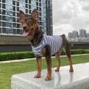 YQYS Dog Shirts Multi-Color Striped Cotton Vest for Small Dogs and Cats Puppy Clothes Teacup Dog Clothing Tank Top for Chihuahua Miniature Pinscher Blue XSmall