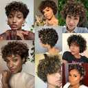 Short Curly Human Hair Wigs For Black Women Glueless Afro Natural Curly Wig Brazilian Virgin 4/27 Color Pixie Cut Wig With Bangs 150% Density Highlight Ombre Blonde Wigs (Natural Curly)