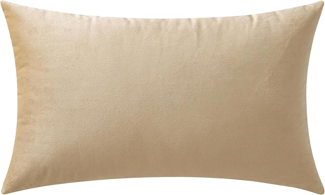 MIULEE Velvet Soft Decorative Square Throw Pillow Case Cushion Covers Pillowcases for Livingroom Sofa Bedroom with Invisible Zipper 
 10"x20x Pillow Cases