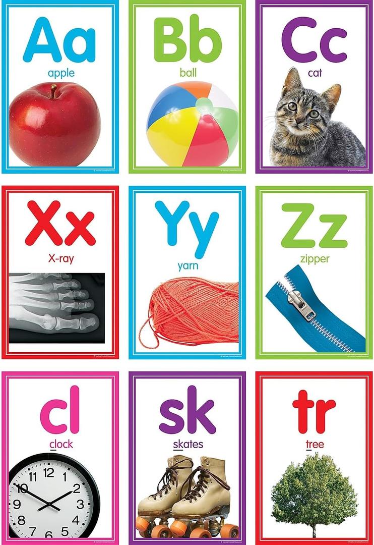 Teacher Created Resources Colorful Photo Alphabet Cards Bulletin Board Set, 40/Set (TCR8798)