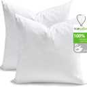 TOPGREEN Feather Down Throw Pillow Inserts 20 x 20, Set of 2, 100% Organic Cotton Shell, Soft Decorative Square Pillows Insert for Living Room Sofa, Couch, or Bed (White)
