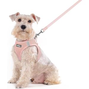 rabbitgoo Dog Harness Small Sized and Leash Set, Step in Soft Light Puppy Vest, Breathable Mesh Pet Harness, Reflective for Outdoor Safe Walking, Pink, XXL (Chest: 21.6 - 23.7")