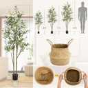 Giegxin Artificial Olive Tree, Tall Faux Olive Silk Plant and Handmade Seagrass Basket Indoor Fake Potted Tree with Natural Trunk Lifelike Fruits for Home Office Decor(6 ft)