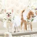 baotongle Dog Bandanas Dress Set for Small Dogs Dogs Wedding Outfit with Flower Collar Veil Puppy Pet Tutu Skirt Halloween Costume Party