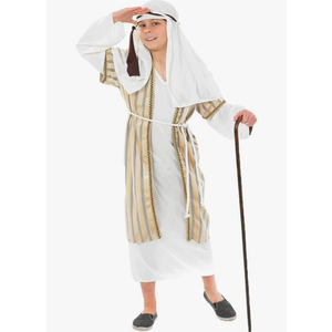 fun shack Boys Shepherd Costume, Kids Joseph Costume, Shepherd Costumes for Boys, Religious Dress Up Outfit S