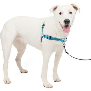 PetSafe Easy Walk Deluxe Dog Harness, No Pull Dog Harness  Perfect for Leash & Harness Training  Stops Pets from Pulling and Choking on Walks  Medium/Large, Ocean