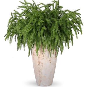 Rowfad 12 Pcs Artificial Norfolk Pine Branches, Norfolk Pine Artificial Pine Stems DIY Crafts Faux Christmas Greenary Norfolk Pine Branches for Xmas Wreath Garland Home Decor (12)
