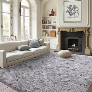 FinRèc Soft Light Grey Rugs for Bedroom Living Room, 4ftx6ft Modern Indoor Fuzzy Shaggy Area Rug, Non-Slip Fluffy Furry Rug for Nursery Kids Room Dorm Room Home Decor, High Pile Plush Floor Carpet