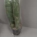 Artificial Cactus Fake Cacti 24" Faux Potted Cactus Plants for Home Store Office Decoration