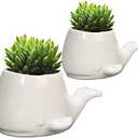 GeLive Set of 2 Whale White Ceramic Succulent Planter Air Plant Pot Window Box Decorative Container, 4 Inch, Indoor Outdoor Usage