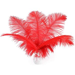 24pcs Natural Bright Red Ostrich Feathers 10-12inch (25-30cm) for Wedding Party CenterpiecesFlower Arrangement and Home Decoration