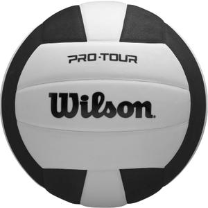 Wilson Pro Tour Indoor (Official Size, Black/White)