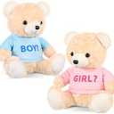 Hollowfly 2 Pack Boy or Girl Bears 14 Inch Blue and Pink Plush T-Shirt Bears Toy for Gender Reveal Baby Shower Decoration