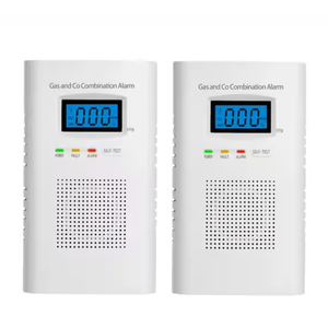 Carbon Monoxide and Gas Combination Alarm