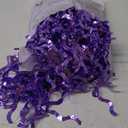 Purple Foil Fringe Curtains Party Decorations - CYLMFC 3 Pack 3.3 ft x 6.6 ft Foil Party Curtain for Hallowee Christmas Graduation Decor