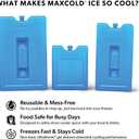 Igloo Maxcold Ice Block