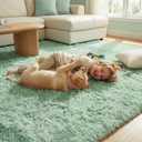 DweIke Fluffy Sage Green Rugs for Bedroom Living Room, 4x6 Feet Soft Plush Shaggy Light Mint Green Girls Boys Kids Rug, Non-Slip and Machine Washable Carpet for Dorm Nursery Classroom Decor