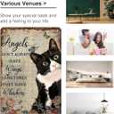 3 x Tuxedo Cat Wall Art - "Angels Don't Always Have Wings" Metal Sign - Ideal Present for Cat Enthusiasts 12 x 8 Inch (3002)