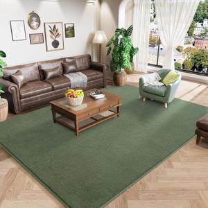 Amearea Modern Area Rugs for Bedroom Living Room, 4x6 Feet Sage Green Thickened Memory Foam Rug, Fluffy Indoor Washable Rugs Non Slip Minimalist Carpet for Kids Boys Girls Dorm Nursery Room Decor