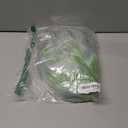 Party City Beetlejuice Wig Costume Accessory for Adults - Costume Includes Wacky Wig with Green & Gray Hair Color - Costumes for Halloween, Birthday Parties, & Themed Events