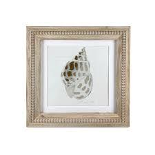 Art Framed Canvas Wall Art 18x18 Oceanum Shells