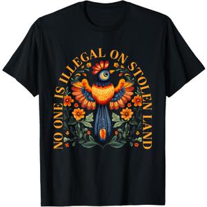No One Is Illegal On Stolen Land Native Americans Vintage T-Shirt (Small, Black)