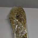 Sea Team 24-Pack Artificial Glitter Berry Stem Ornaments, Decorative Bead Sticks, Glittery Twigs, Picks, Branches for Christmas Tree, Small Vase, Holiday, Wedding, Party (17 Inches, Gold)