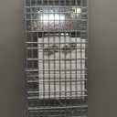 32 Humane Animal Trap, Live Animal Trap Cage for Stray Cats, Raccoons, Squirrels, Rabbits, Moles, Groundhogs, Armadillos up to 16.5 lbs, Galvanized Rustproof Live Animal Cage Trap