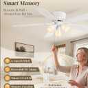 Fanbulous 52" Modern Ceiling Fan with 3 Lights, Remote & Pull Chain Control