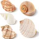 5PCS Hermit Crab Shells Large Medium Size | Natural Sea Conch Size 2.8" - 4.5", Opening Size 1.6" - 3.6" | Turbo Seashells for Hermit Crab Supplies Beach Home Crafts Decor