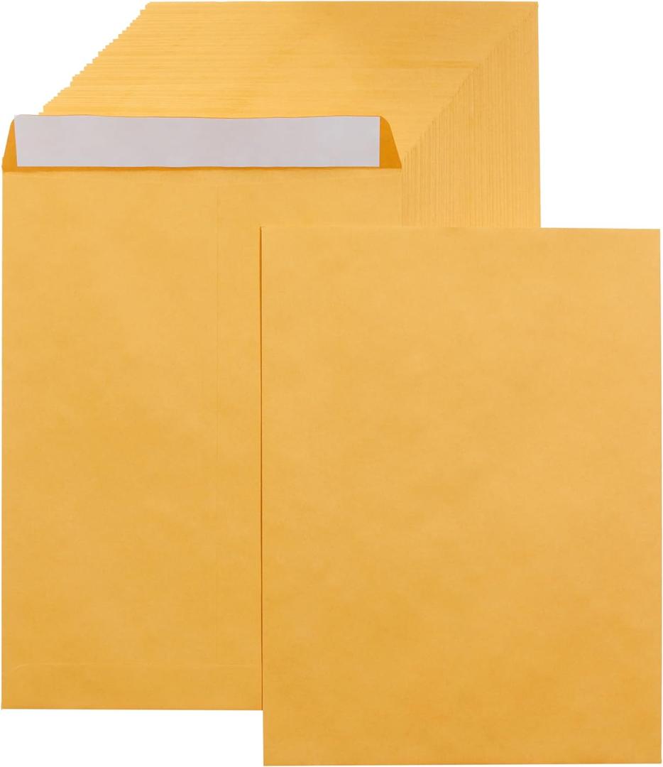 Amazon Basics Catalog Self Seal Mailing Envelopes for Documents, Peel and Seal, 9" x 12", Brown Kraft, 250-Pack
