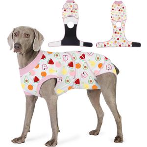 Dog Recovery Suit for Post Surgery, E-Collar Cone Alternative for Female Spay & Male Neuter, Breathable Soft Onesie for Abdominal Wounds & Skin Disease, Anti-Lick Surgical Suit for Dogs, Fruit, L