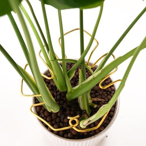 6PCS Monstera Plant Stem Support , Monstera Stabilizer Grapple Holder Unique Design for Turtle Shell Bamboo Clamp Set, Ideal Plant Support Stakes for Thriving Growth Indoor Climbing Plant (Gold),Set of 2 6PCS Monstera Plant Stem Support , Monstera Stabilizer Grapple Holder Unique Design for Turtle Shell Bamboo Clamp Set, Ideal Plant Support Stakes for Thriving Growth Indoor Climbing Plant (Gold),Set of 2
