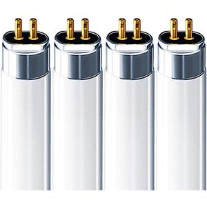 FP14/865/ECO (4 Pack) 14 Watt T5 Fluorescent Tube Light Bulb F14T5 14W 6500K Replaces F14W/T5/865/ECO FL14/T5/865 F14T5/865 F14T5/865/ENV