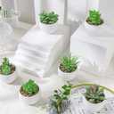 Der Rose Set of 6 Succulents Plants Artificial in Pots Small Fake Plants for Bedroom Aesthetic Living Room Shelf Bathroom Decor Office Desk Accessories