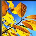 12x18 Picture Frame Black,Collage Wall Decor Studio Gallery Poster Frame