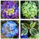 24 Inch Spring Wreath for Front Door, Artificial Hydrangea and Thistle Flowers, Spring and Summer Door Wreath with Lush Greenery, Summer Wreath for Indoor Outdoor Decor