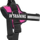 Essential Dog Harness, No Pull Pet Harness with 3 Side Rings for Leash Placement, No Choke, Reflective, Adjustable Pet Vest, Easy On-Off & Improved Control Handle, Training, Walking, Running, L