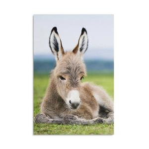 Animal Baby Donkey Meadow Room Aesthetics Posters Canvas Posters Bedroom Decoration Sports Office Decoration Gifts Wall Art Decoration Printing Posters, 40inx30in