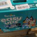 Pampers Training Pants - Easy Ups Boys & Girls Bluey - Size 2T-3T, 74 Count, Children's Potty Underwear