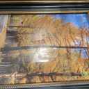 11x17 Picture Frame without Mat for 11x17 Photo/Print, High Definition Real Glass Wall Display (Ornate Gold/Black)