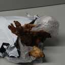 majoywoo Natural Large Coral Driftwood for Aquarium Decor Reptile Decor, Assorted Driftwood Branch 9-14" 2 Pcs, Fish Tank Decoration